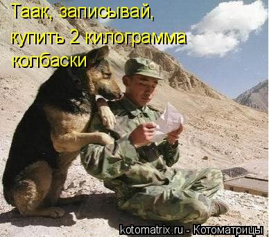 Котоматрица: Таак, записывай,  купить 2 килограмма  колбаски