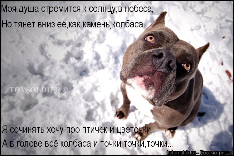 А в голове всё колбаса и точки,точки,точки... Я сочинять хочу про птичек и цветочки, Моя душа стремит... Котоматрица: А в голове всё колбаса и точки,точки,точки... Я сочинять хочу про птичек и цветочки, Моя душа стремится к солнцу,в небеса, Но тянет вниз её,как