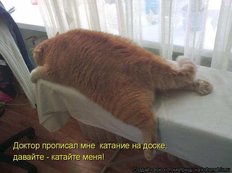 Котоматрица: Доктор прописал мне  катание на доске, давайте - катайте меня!