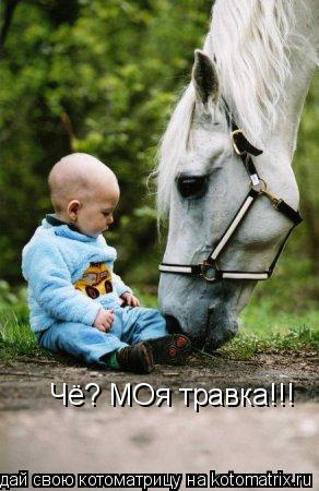 Котоматрица: Чё? МОя травка!!!