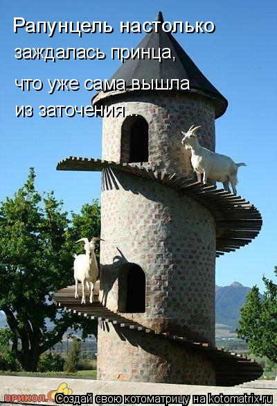 Котоматрица: Рапунцель настолько  заждалась принца,  что уже сама вышла из заточения...