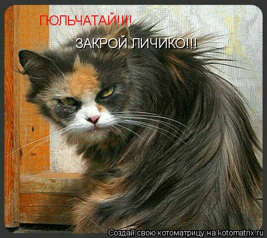 Котоматрица: ГЮЛЬЧАТАЙ!!!! ЗАКРОЙ ЛИЧИКО!!!