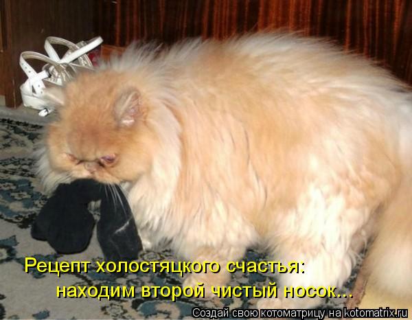 Котоматрица: Рецепт холостяцкого счастья: находим второй чистый носок...