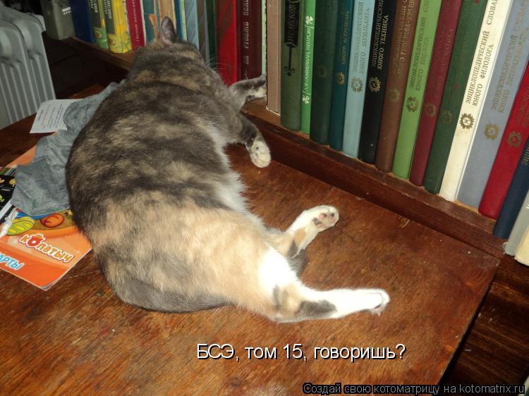 Котоматрица: БСЭ, том 15, говоришь?