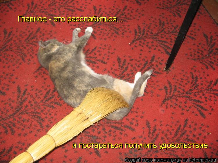 Котоматрица: Главное - это расслабиться... и постараться получить удовольствие