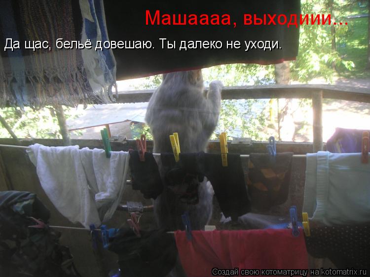 Котоматрица: Машаааа, выходиии... Да щас, бельё довешаю. Ты далеко не уходи.