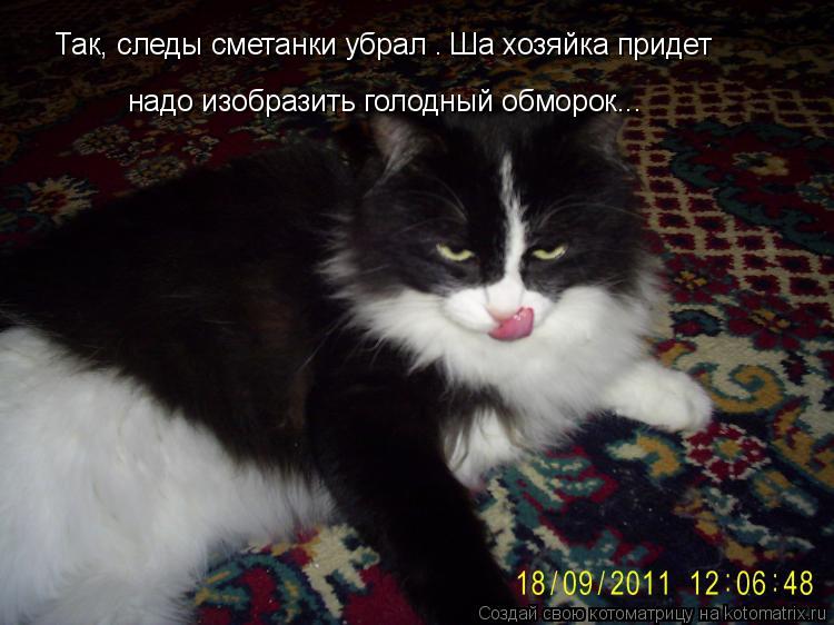 Котоматрица: Так, следы сметанки убрал . Ша хозяйка придет  надо изобразить голодный обморок...