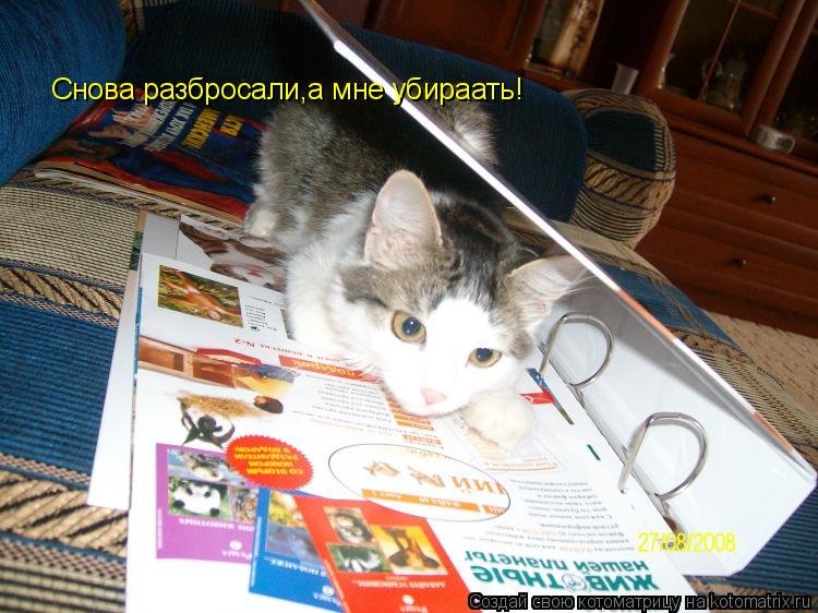 Котоматрица: Снова разбросали,а мне убираать!