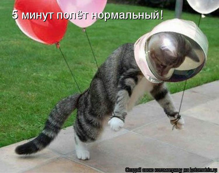 Котоматрица: 5 минут полёт нормальный!