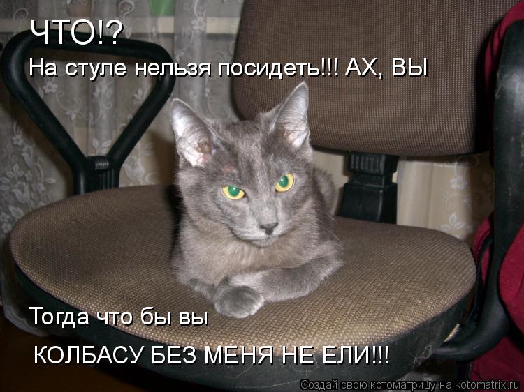 Котоматрица: ЧТО!? На стуле нельзя посидеть!!! АХ, ВЫ На стуле нельзя посидеть!!! АХ, ВЫ Тогда что бы вы КОЛБАСУ БЕЗ МЕНЯ НЕ ЕЛИ!!!