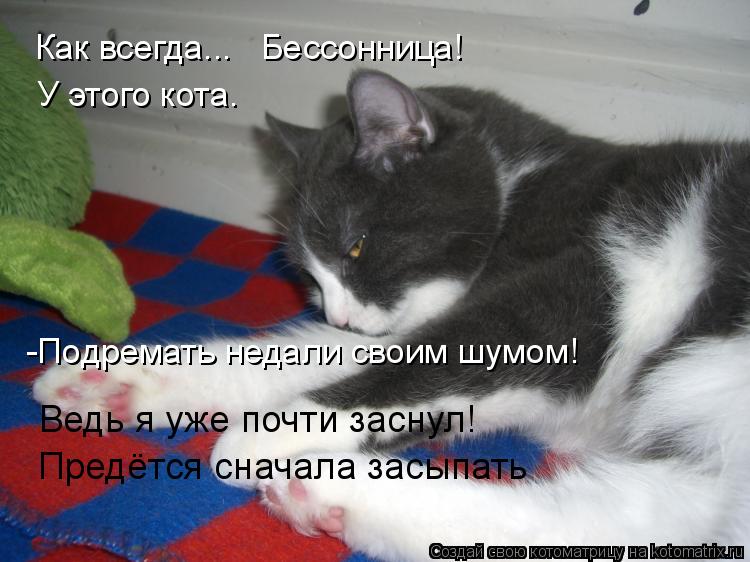 Котоматрица: Как всегда...   Бессонница! У этого кота. -Подремать недали своим шумом! Ведь я уже почти заснул! Предётся сначала засыпать