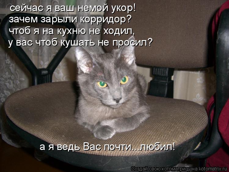 Котоматрица: сейчас я ваш немой укор! зачем зарыли корридор? чтоб я на кухню не ходил,  у вас чтоб кушать не просил? а я ведь Вас почти...любил!