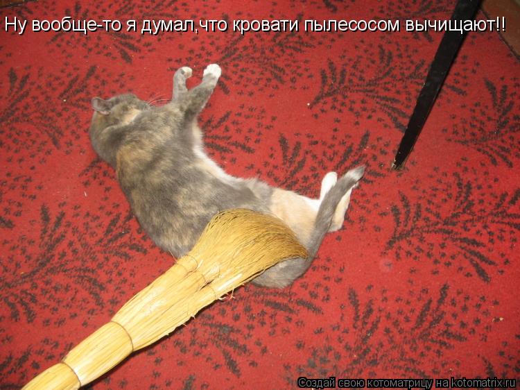 Ну вообще-то я думал,что кровати пылесосом вычищают!!... Котоматрица: Ну вообще-то я думал,что кровати пылесосом вычищают!!