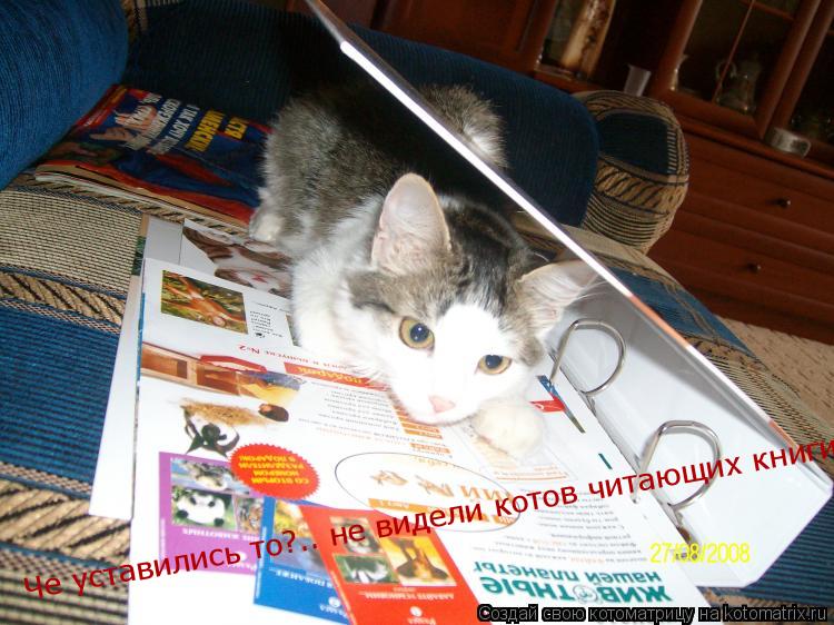 Че уставились то?.. не видели котов читающих книги о животных?!?... Котоматрица: Че уставились то?.. не видели котов читающих книги о животных?!?
