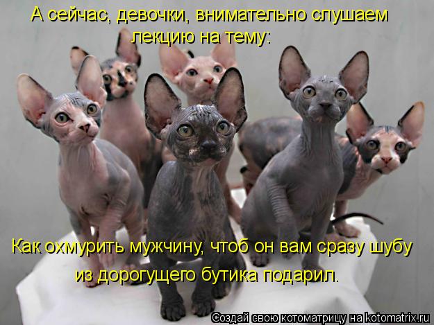 А сейчас, девочки, внимательно слушаем лекцию на тему: Как охмурить мужчину, чтоб он вам сразу шубу и... Котоматрица: А сейчас, девочки, внимательно слушаем лекцию на тему: Как охмурить мужчину, чтоб он вам сразу шубу из дорогущего бутика подарил.