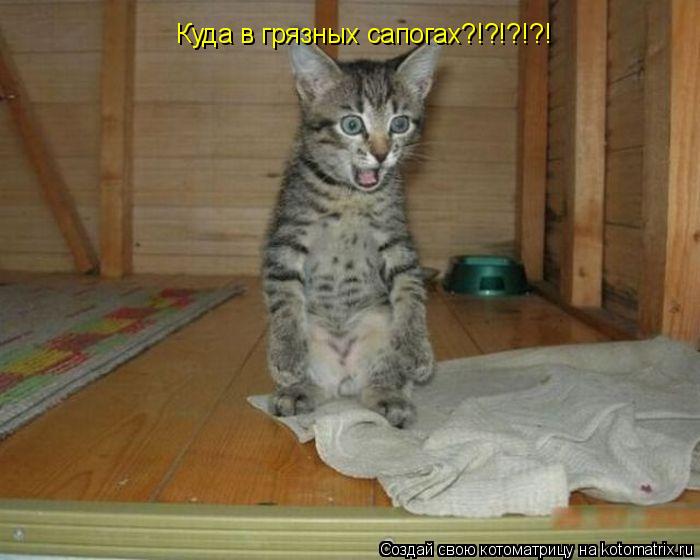 Котоматрица: Куда в грязных сапогах?!?!?!?!