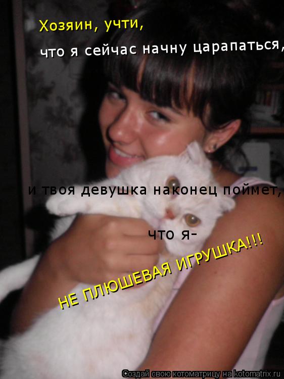 Котоматрица: и твоя девушка наконец поймет, НЕ ПЛЮШЕВАЯ ИГРУШКА!!! что я-  что я сейчас начну царапаться, Хозяин, учти,