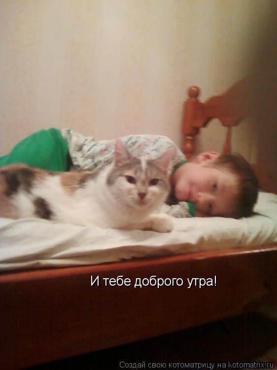Котоматрица: И тебе доброго утра!
