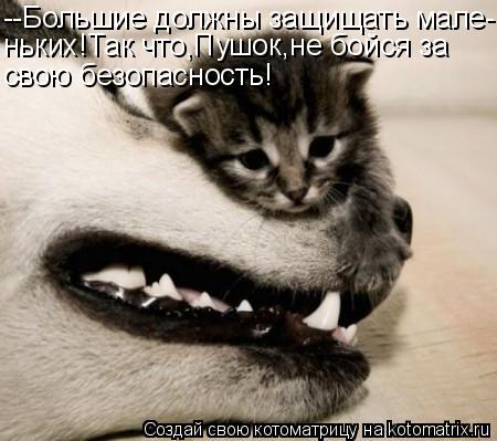 Котоматрица: --Большие должны защищать мале- ньких!Так что,Пушок,не бойся за свою безопасность!