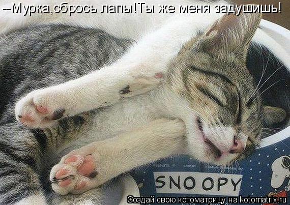 --Мурка,сбрось лапы!Ты же меня задушишь!... Котоматрица: --Мурка,сбрось лапы!Ты же меня задушишь!