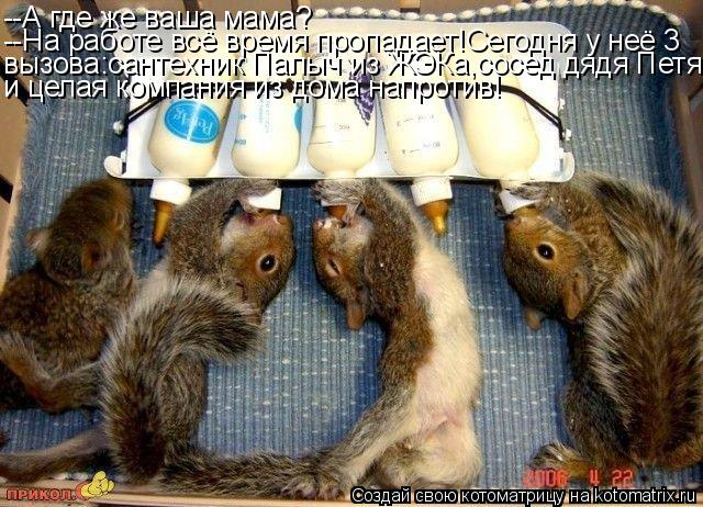Котоматрица: --А где же ваша мама? --На работе всё время пропадает!Сегодня у неё 3 вызова:сантехник Палыч из ЖЭКа,сосед дядя Петя и целая компания из дома на