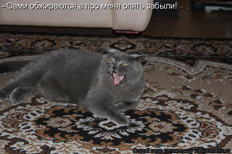 --Сами обжираются,а про меня опять забыли!... Котоматрица: --Сами обжираются,а про меня опять забыли!