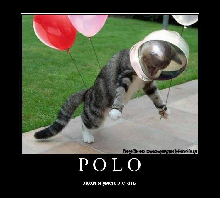 Котоматрица: polo лохи я умею летать