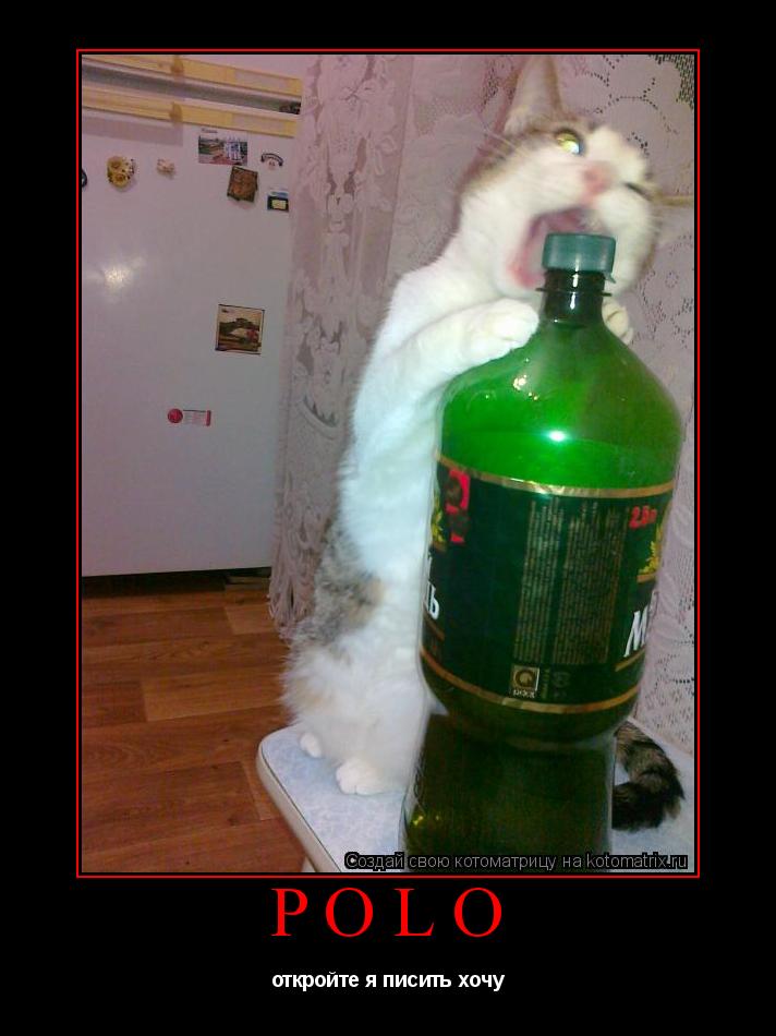 Котоматрица: polo откройте я писить хочу