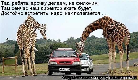 Так, ребята, арочку делаем, не филоним Там сейчас наш директор ехать будет, Достойно встретить надо... Котоматрица: Так, ребята, арочку делаем, не филоним Там сейчас наш директор ехать будет, Достойно встретить надо, как полагается . . .