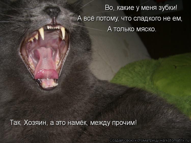Во, какие у меня зубки! А всё потому, что сладкого не ем, А только мяско. Так, Хозяин, а это намёк, м... Котоматрица: Во, какие у меня зубки! А всё потому, что сладкого не ем, А только мяско. Так, Хозяин, а это намёк, между прочим!