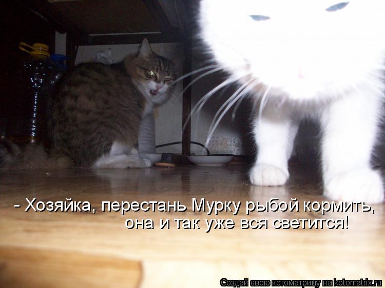 - Хозяйка, перестань Мурку рыбой кормить, она и так уже вся светится!... Котоматрица: - Хозяйка, перестань Мурку рыбой кормить, она и так уже вся светится!