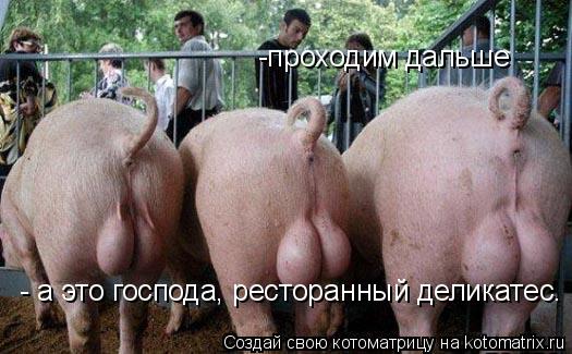- а это господа, ресторанный деликатес. -проходим дальше... Котоматрица: - а это господа, ресторанный деликатес. -проходим дальше