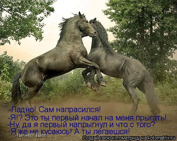 -Ладно! Сам напрасился! -Я!? Это ты первый начал на меня прыгать! -Ну, да я первый напрыгнул и что с ... Котоматрица: -Ладно! Сам напрасился! -Я!? Это ты первый начал на меня прыгать! -Ну, да я первый напрыгнул и что с того? Я же не кусаюсь! А ты легаешся! -ТЫ! -НЕТ