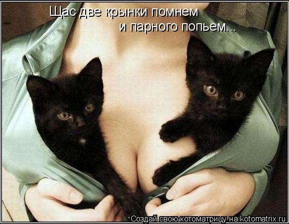 Котоматрица: Щас две крынки помнем и парного попьем...