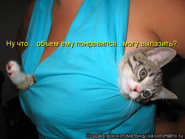Котоматрица: Ну что....объем ему понравился...могу вылазить?