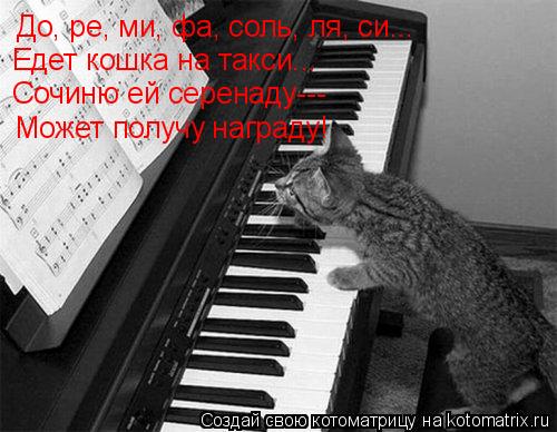 Котоматрица: До, ре, ми, фа, соль, ля, си...   Едет кошка на такси... Сочиню ей серенаду--- Может получу награду!