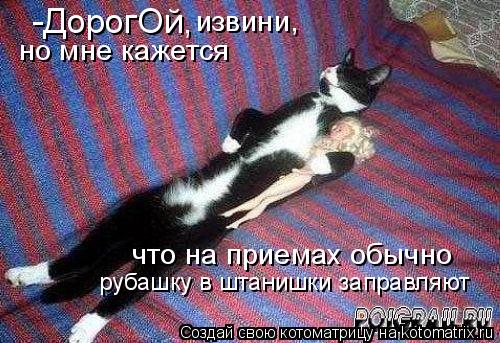 Котоматрица: -ДорогОй, извини,  но мне кажется что на приемах обычно рубашку в штанишки заправляют