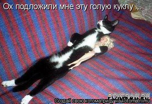 Котоматрица: Ох подложили мне эту голую куклу ...