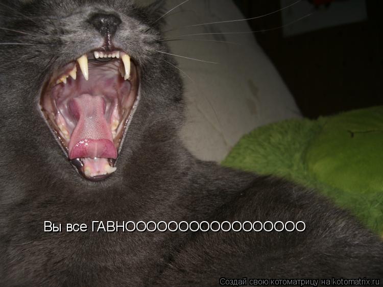 Котоматрица: Вы все ГАВНООООООООООООООООО