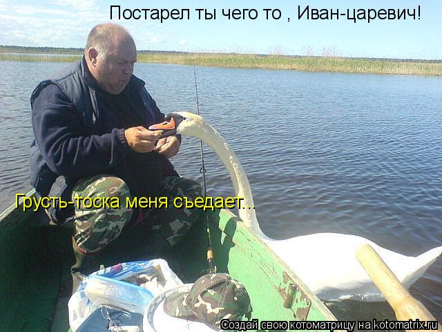 Котоматрица: Постарел ты чего то , Иван-царевич! Грусть-тоска меня съедает...
