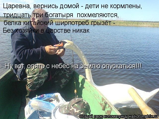Царевна, вернись домой - дети не кормлены, тридцать три богатыря похмеляются, белка китайский ширпот... Котоматрица: Царевна, вернись домой - дети не кормлены, тридцать три богатыря похмеляются, белка китайский ширпотреб грызёт - Без хозяйки в царстве ника