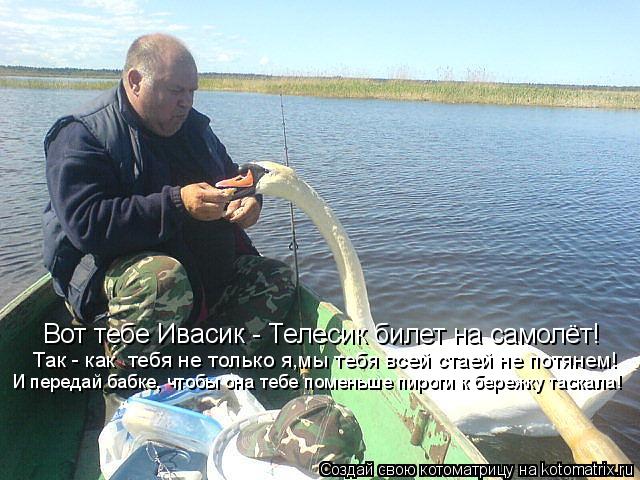 Котоматрица: Вот тебе Ивасик - Телесик билет на самолёт! Так - как  тебя не только я,мы тебя всей стаей не потянем! И передай бабке, чтобы она тебе поменьше 