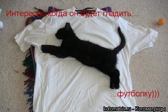 Котоматрица: Интересно,когда он будет гладить.... ...футболку)))
