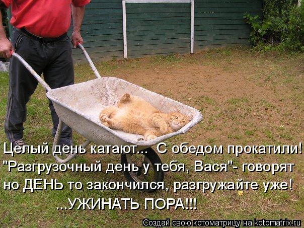 Целый день катают... С обедом прокатили! "Разгрузочный день у тебя, Вася"- говорят но ДЕНЬ то законч... Котоматрица: Целый день катают... С обедом прокатили! "Разгрузочный день у тебя, Вася"- говорят но ДЕНЬ то закончился, разгружайте уже! ...УЖИНАТЬ ПОРА!!!