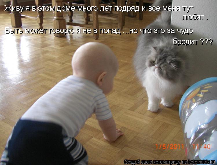Котоматрица: Живу я в этом доме много лет подряд и все меня тут любят . Быть может говорю я не в попад ...но что это за чудо бродит ???