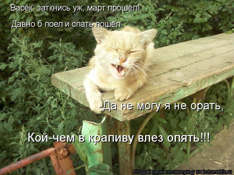 Васёк, заткнись уж, март прошёл! Давно б поел и спать пошёл. -Да не могу я не орать, Кой-чем в крапив... Котоматрица: Васёк, заткнись уж, март прошёл! Давно б поел и спать пошёл. -Да не могу я не орать, Кой-чем в крапиву влез опять!!!