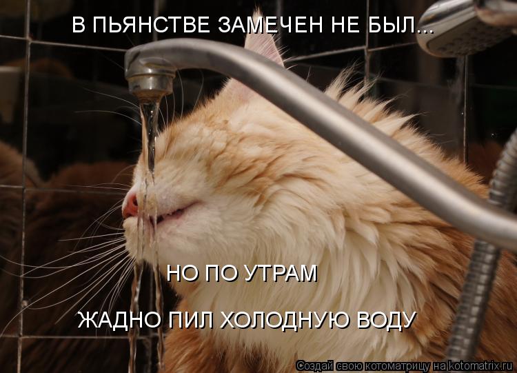 Котоматрица: В ПЬЯНСТВЕ ЗАМЕЧЕН НЕ БЫЛ... НО ПО УТРАМ ЖАДНО ПИЛ ХОЛОДНУЮ ВОДУ