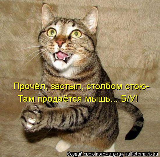 Котоматрица: Прочёл, застыл, столбом стою- Там продаётся мышь... Б/У!