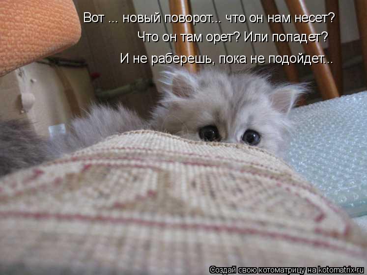 Котоматрица: Вот ... новый поворот... что он нам несет?  И не раберешь, пока не подойдет... Что он там орет? Или попадет?