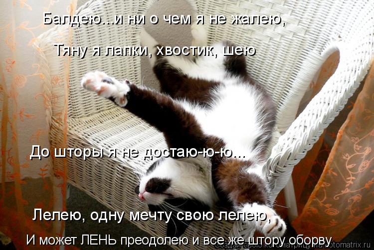 Котоматрица: Балдею...и ни о чем я не жалею, Тяну я лапки, хвостик, шею До шторы я не достаю-ю-ю... И может ЛЕНЬ преодолею и все же штору оборву Лелею, одну меч